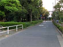 �T���v���ʐ^