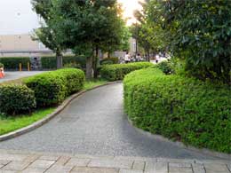 �C���[�W�ʐ^1